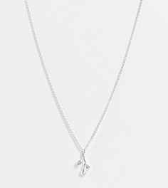 Ожерелье из стерлингового серебра с подвеской-розой ASOS DESIGN Curve-Серебряный