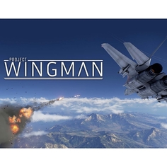 Цифровая версия игры PC Humble Bundle Project Wingman Project Wingman