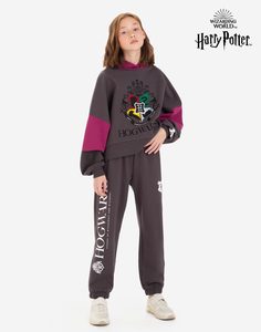 Серые спортивные брюки Jogger с принтом Harry Potter для девочки Gloria Jeans