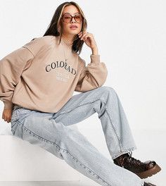Бежевый свитшот с надписью "Colorado" и логотипом Bershka-Светло-бежевый цвет