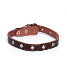 Ошейник универсальный, коричневый (размер 12-45 см, ширина 2 см) Пушистое счастье