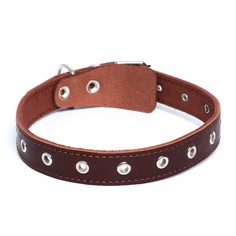 Ошейник универсальный, коричневый (размер 16-54 см, ширина 2,5 см), кожаный Пушистое счастье