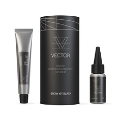 ONIQ, Набор для окрашивания бровей Vector, Black