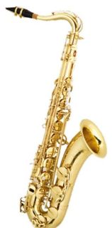 TS-100G Stephan Weis