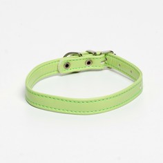Ошейник из экокожи салатовый, размер 26-34 см, ширина 1.4 см Пушистое счастье