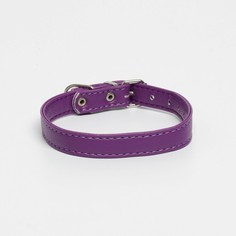 Ошейник из экокожи фиолетовый, размер 26-34 см, ширина 1.6 см Пушистое счастье