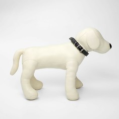 Ошейник из экокожи чёрный, размер 26-34 см, ширина 1.6 см Пушистое счастье