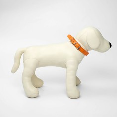 Ошейник из экокожи оранжевый, размер 26-34 см, ширина 1.6 см Пушистое счастье