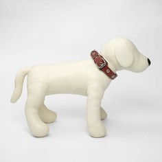 Ошейник универсальный, коричневый (размер 12-45 см, ширина 2 см), кожаный Пушистое счастье