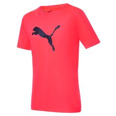 Футболка individualRISE Logo Mens Football Tee Puma
