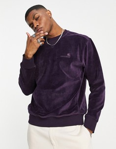 Фиолетовый бархатный свитшот Carhartt WIP United Script-Фиолетовый цвет