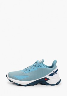 Кроссовки Salomon ALPHACROSS BLAST J