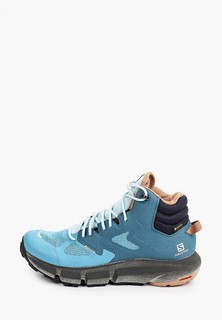 Ботинки трекинговые Salomon PREDICT HIKE MID GTX W