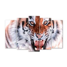 Картина модульная, 125х80 см, 5 шт, X-408H