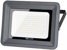 Светодиодный прожектор Wolta WFL-100W/06 (серый)