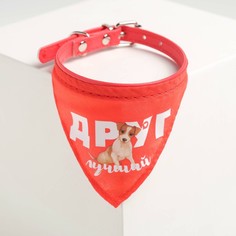 Ошейник с платком Пушистое счастье