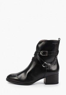 Ботильоны Wonders 