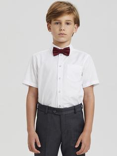 Сорочка Silver Spoon