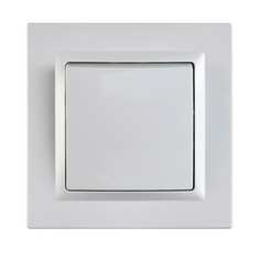 Одноклавишный выключатель Econ