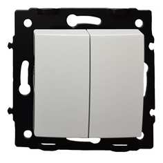 Двухклавишный выключатель Econ