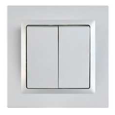 Двухклавишный выключатель Econ