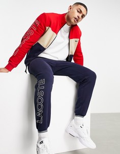 Купить мужской спортивный костюм Lacoste (Лакост) в интернет-магазине