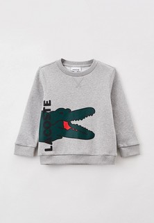 Свитшот Lacoste 