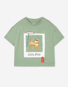 Зелёная футболка с принтом Cool dog для мальчика Gloria Jeans