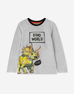 Серый лонгслив с принтом Dino world для мальчика Gloria Jeans