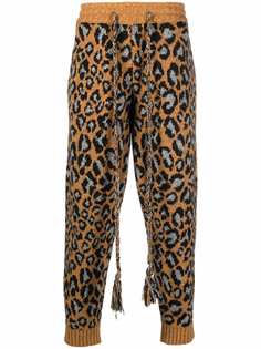 Alanui спортивные брюки с кулиской и леопардовым принтом