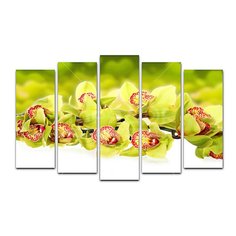 Картина модульная, 125х80 см, 5 модулей, X-007H