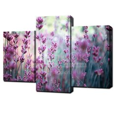 Картина модульная, 95х65 см, 3 модуля, Q-320