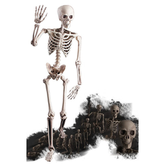 Декорация Carnival Toys скелет подвижный серый