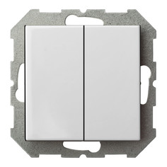 Выключатели встраиваемые выключатель 2-клавишный LIREGUS Epsilon, без рамки, белый