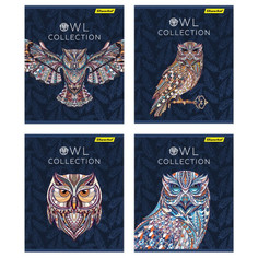 Тетради тетрадь 48л клетка А5 SILWERHOF Совушки 4 дизайна