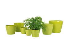 Кашпо, горшки для комнатных растений кашпо керамическое Tropical Green 800 d-15 см Scheurich