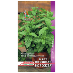 Семена овощей семена Мята Ворожея 0,1г ПОИСК