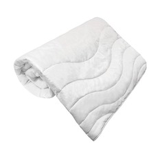 Одеяла одеяло ВАСИЛИСА Smart 200х220см, арт.213753
