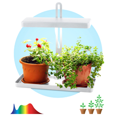 Лампы настольные для растений светильник светодиодный д/растений ФИТО LED ЭРА 20Вт полноспектральный Rivoli