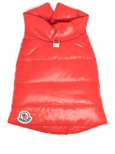 Moncler x Poldo пуховик для собаки с нашивкой-логотипом
