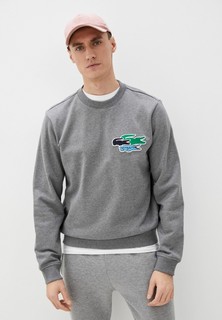 Свитшот Lacoste 