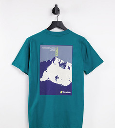 Зеленая футболка Berghaus Kanchenjunga – эксклюзивно для ASOS-Зеленый цвет
