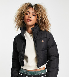 Черный укороченный пуховик Dickies Atlanta – эксклюзивно для ASOS-Черный цвет