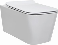 Подвесной безободковый унитаз с сиденьем микролифт Berges Floe 082121