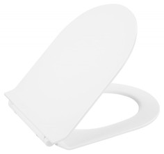 Сиденье для унитаза с микролифтом BelBagno Flay-R BB2111SC