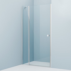 Душевая дверь 110 см IDDIS Ray RAY6CP1i69 прозрачное