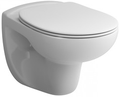 Подвесной безободковый унитаз с сиденьем микролифт Am.Pm Sense C741700SC Am.Pm.