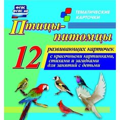 Плакат Издательство Учитель Птицы-питомцы