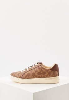 Кеды Coach 