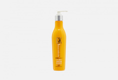 Шампунь Защиты Цвета Gkhair